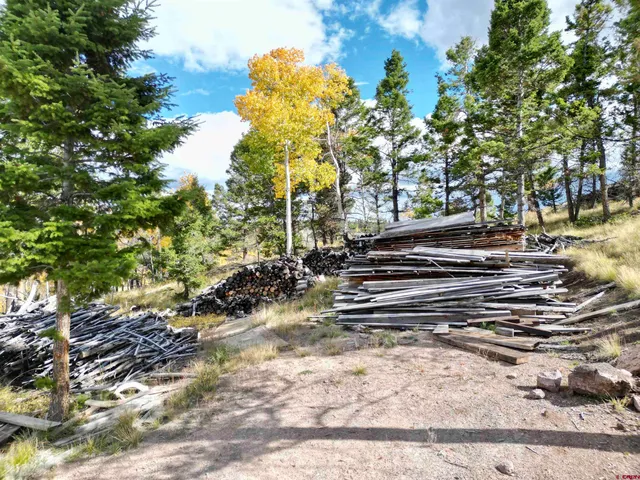 $430,000 | 6001 County Road 25, Powderhorn, CO 81243