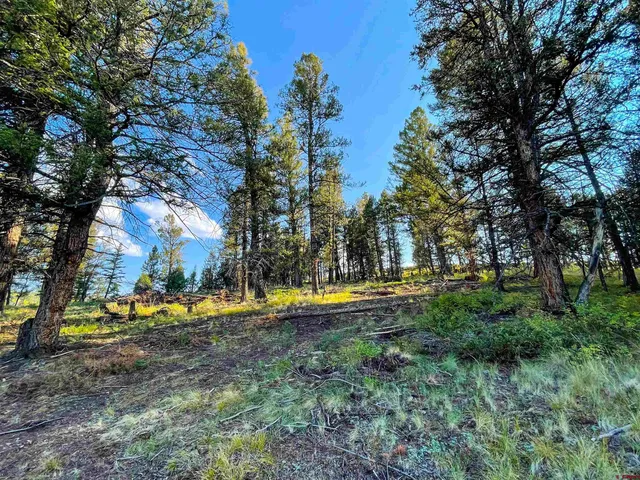 a view of an outdoor space