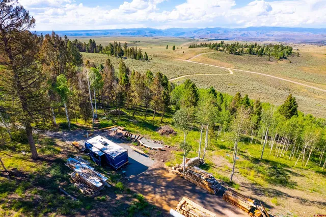 a view of a yard with an tree