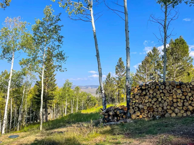 a view of swimming pool with a yard