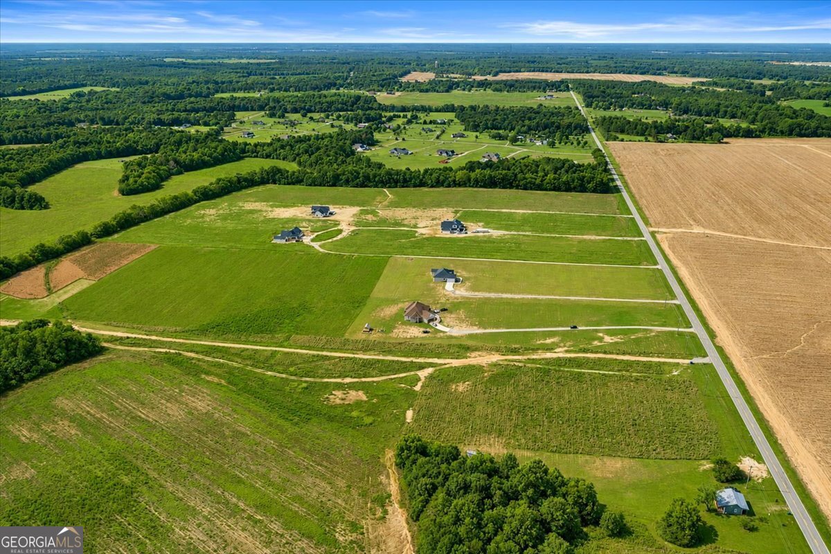 2581 Elko Road Elko, GA 31025 - Photo 10 of 16