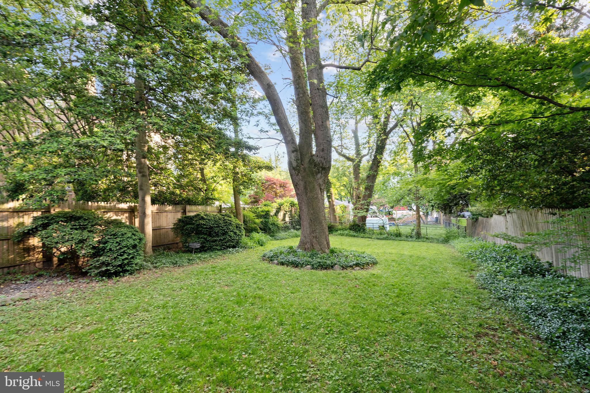 1650 Foxhall Road Northwest Washington, DC 20007 - Photo 4 of 34 Huge private backyard