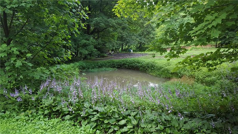 178 Kibe Road Acme, PA 15610 - Photo 4 of 8