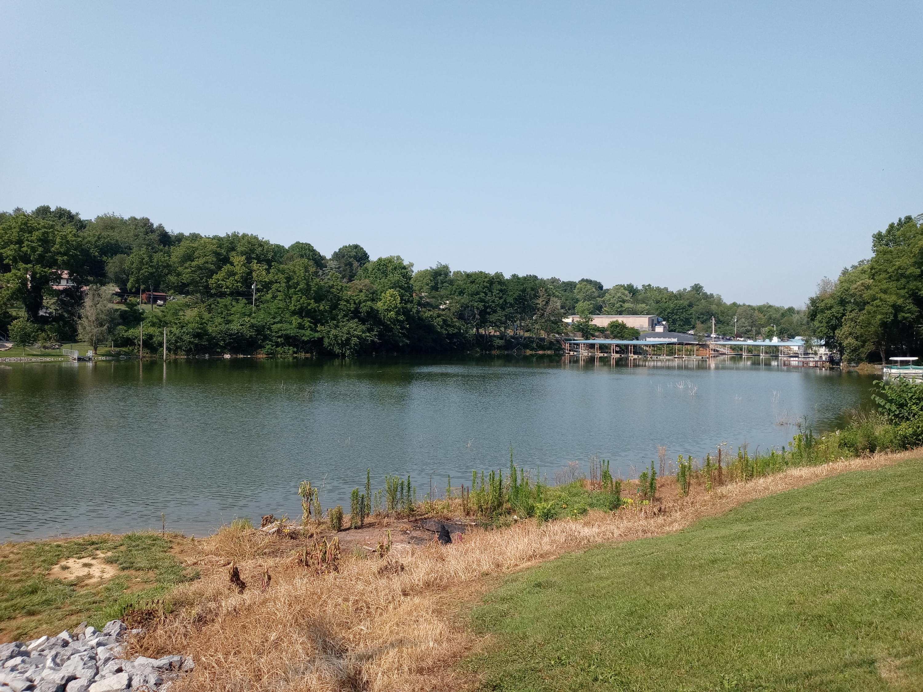 335 Cedar Point Road Johnson City, TN 37615 - Photo 5 of 23 20210723_164855