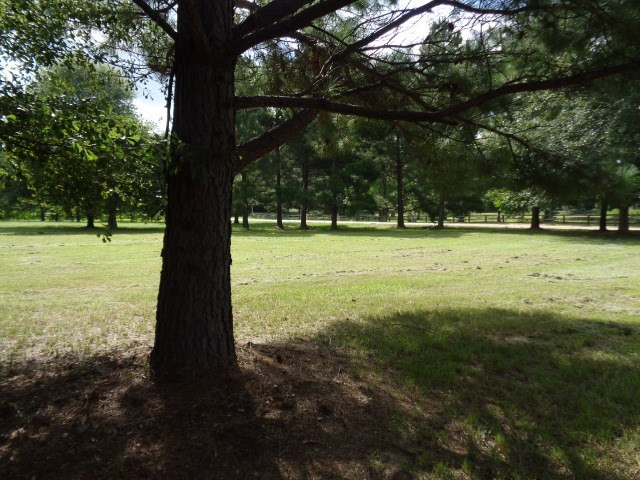 12250 McRaven Road Clinton, MS 39056 - Photo 3 of 12 Photo 3