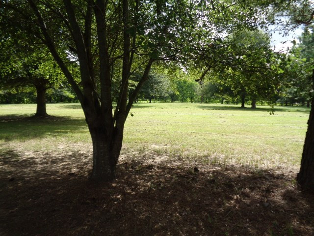 12250 McRaven Road Clinton, MS 39056 - Photo 4 of 12 Photo 4