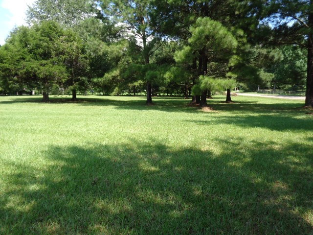 12250 McRaven Road Clinton, MS 39056 - Photo 6 of 12 Photo 6