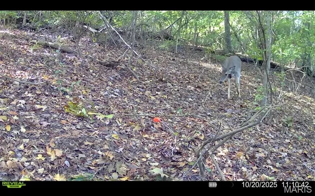 $825,000 | 1053 Gilmore Lake Road, Waterloo, IL 62298