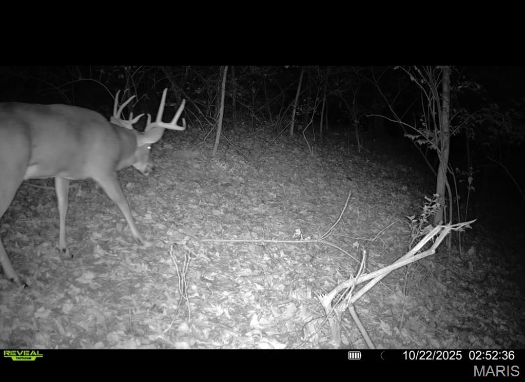 1053 Gilmore Lake Road Waterloo, IL 62298 - Photo 4 of 82