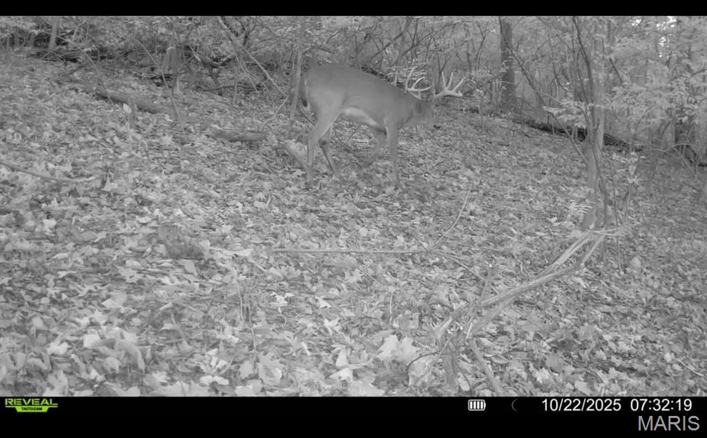 1053 Gilmore Lake Road Waterloo, IL 62298 - Photo 65 of 82