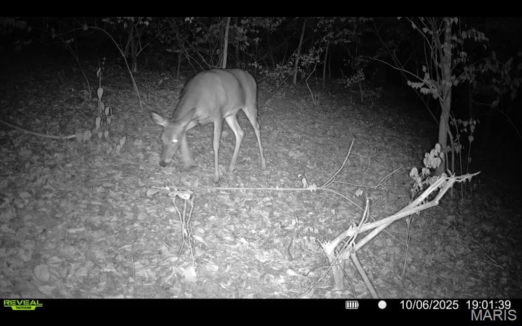 1053 Gilmore Lake Road Waterloo, IL 62298 - Photo 66 of 82