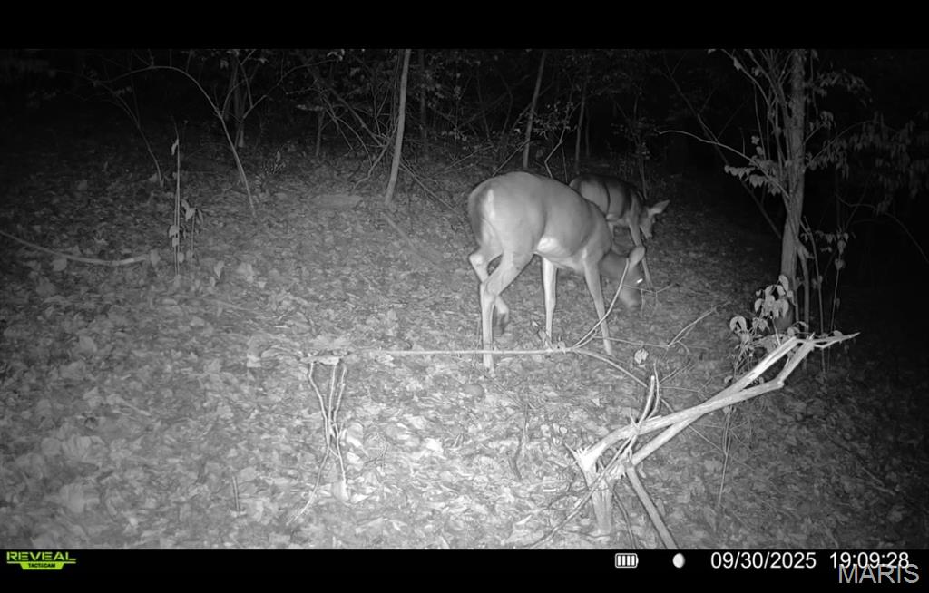 1053 Gilmore Lake Road Waterloo, IL 62298 - Photo 75 of 82