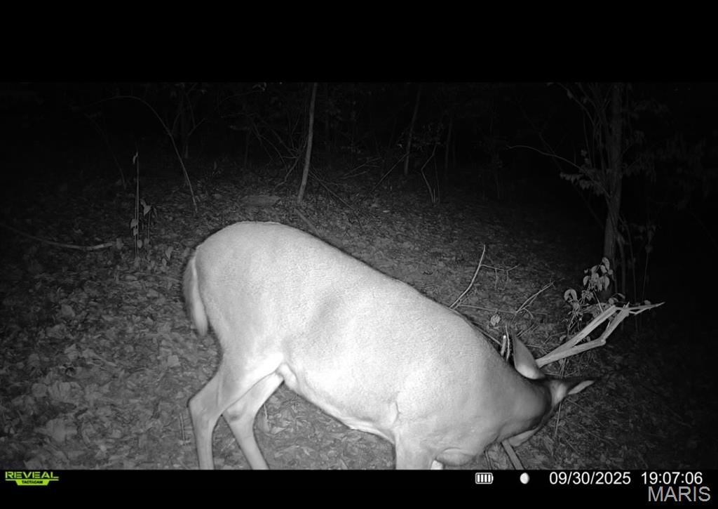 1053 Gilmore Lake Road Waterloo, IL 62298 - Photo 76 of 82