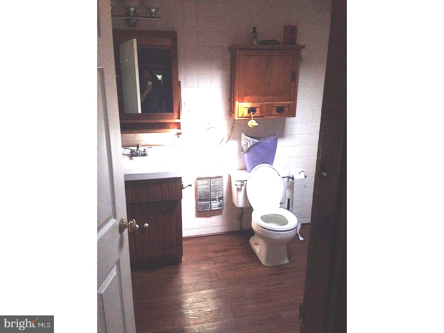 1571 Chestnut Ridge Road Upper Black Eddy, PA 18972 - Photo 18 of 23 Bathroom