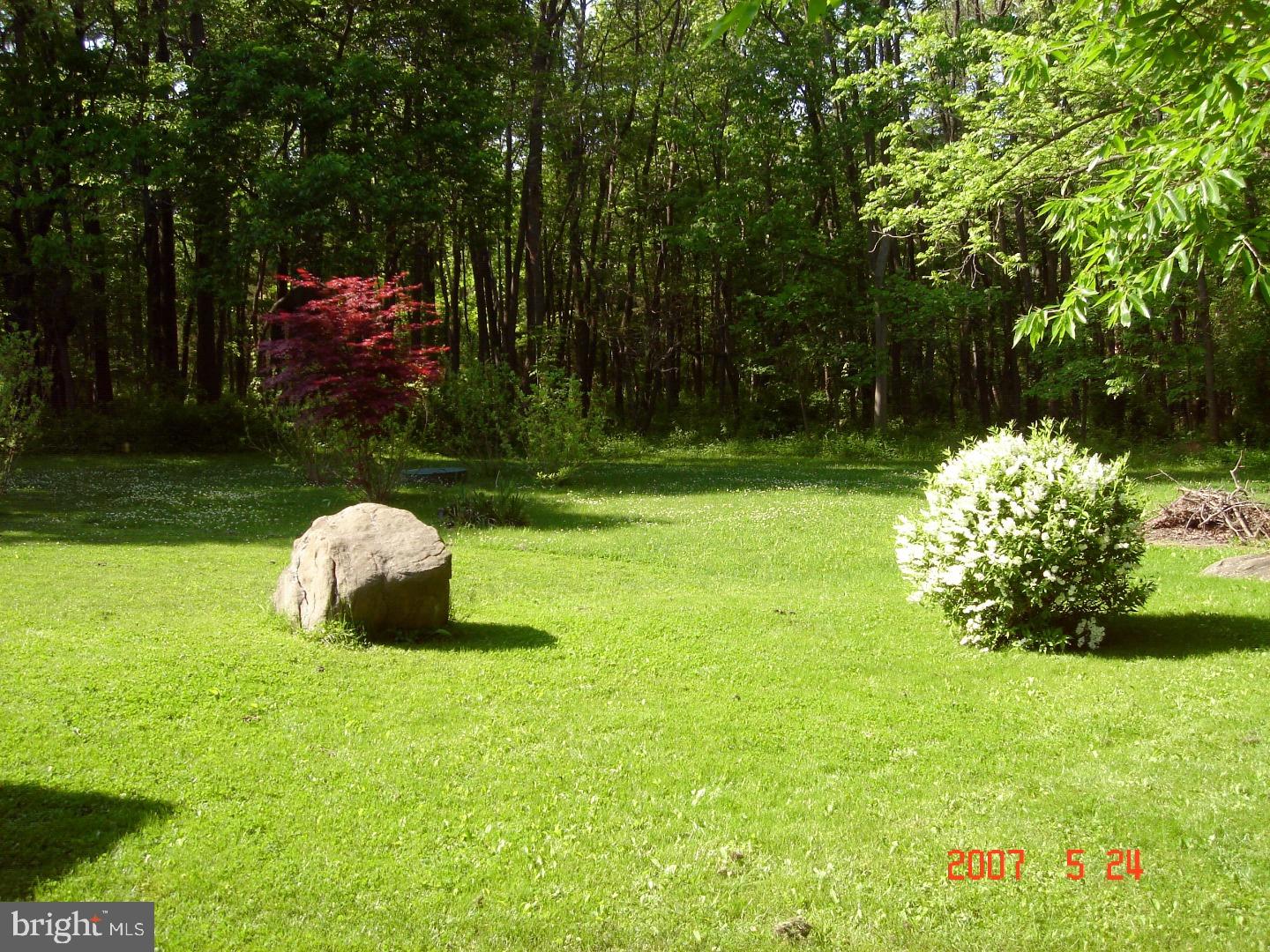 1571 Chestnut Ridge Road Upper Black Eddy, PA 18972 - Photo 5 of 23 Back Yard