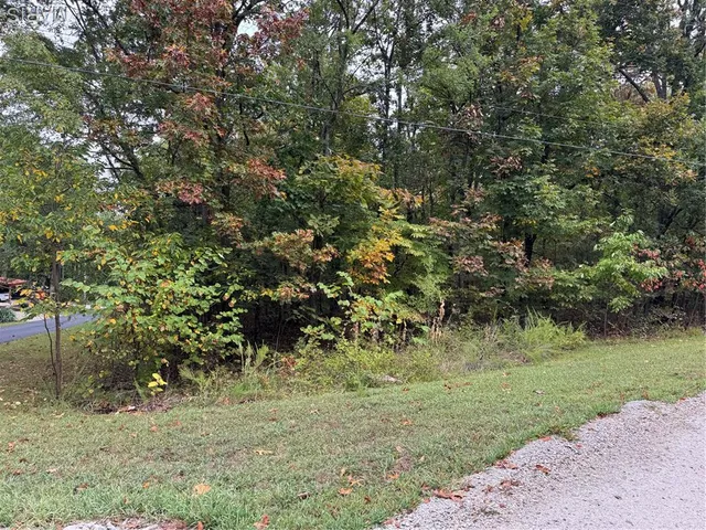 $3,500 | Lot 31 12th Annex(pawnee Trail), Ste. Genevieve, MO 63670