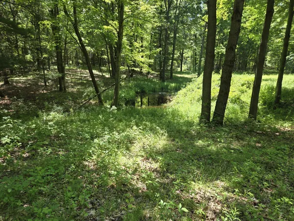 $3,499,999 | 3371 Noble Road, Oxford, MI 48370