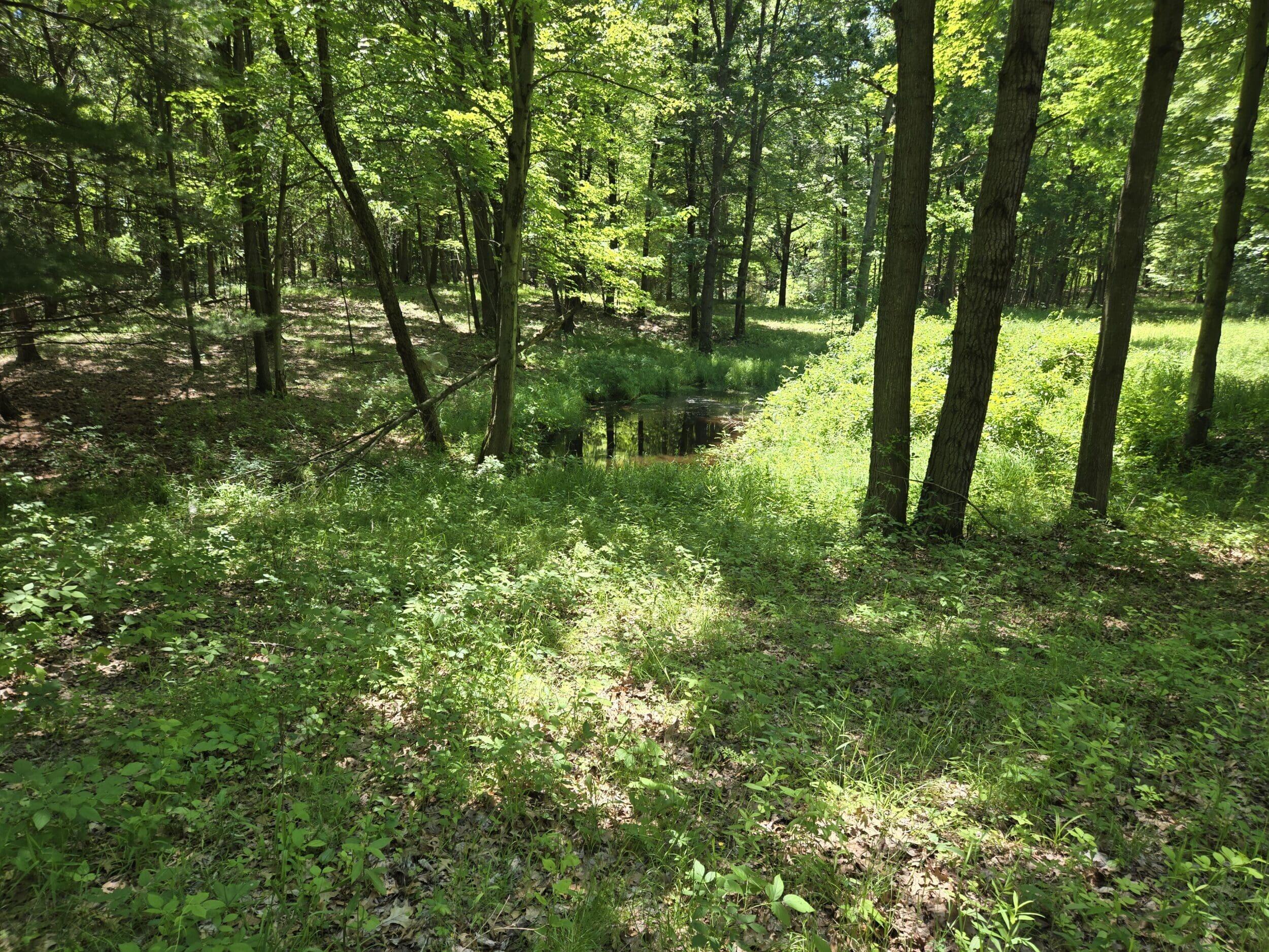 3371 Noble Road Oxford, MI 48370 - Photo 20 of 68 72