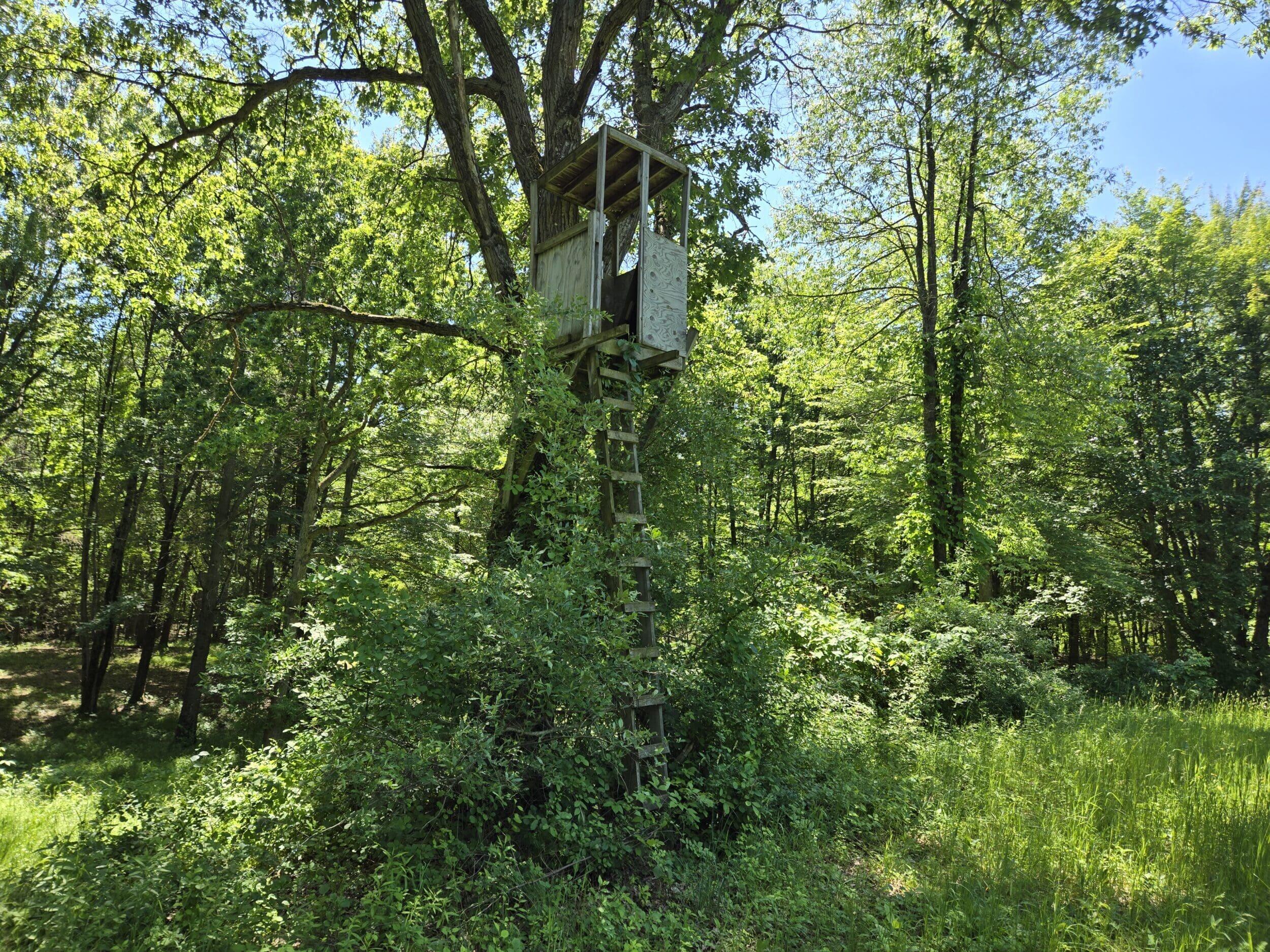 3371 Noble Road Oxford, MI 48370 - Photo 21 of 68 73