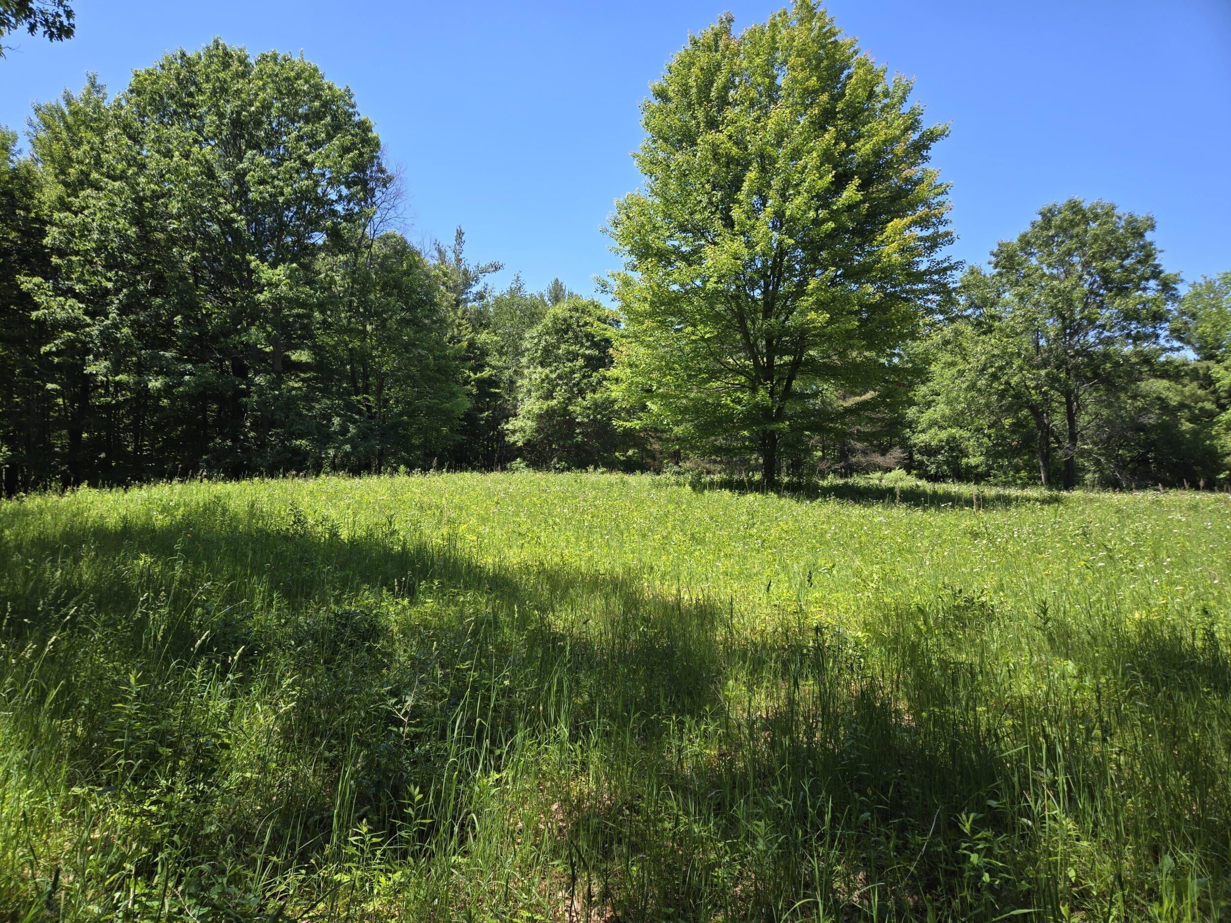 3371 Noble Road Oxford, MI 48370 - Photo 22 of 68 74