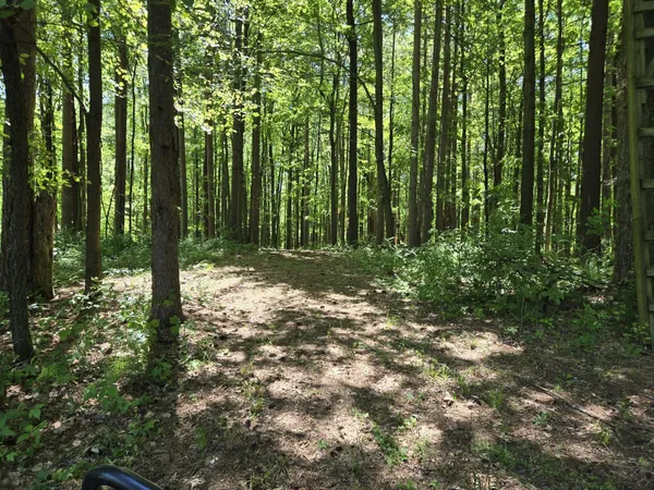 $3,499,999 | 3371 Noble Road, Oxford, MI 48370