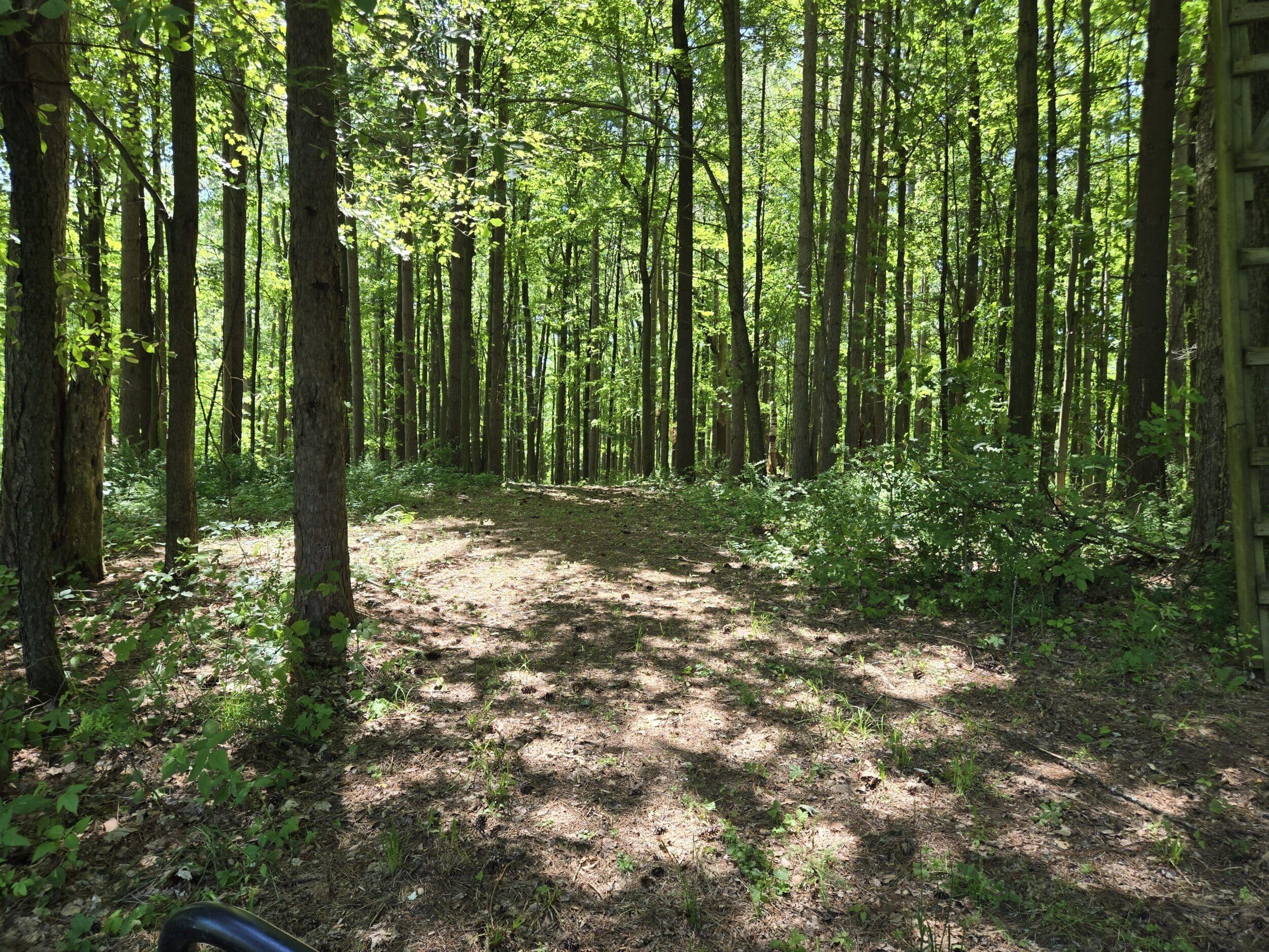 3371 Noble Road Oxford, MI 48370 - Photo 23 of 68 75