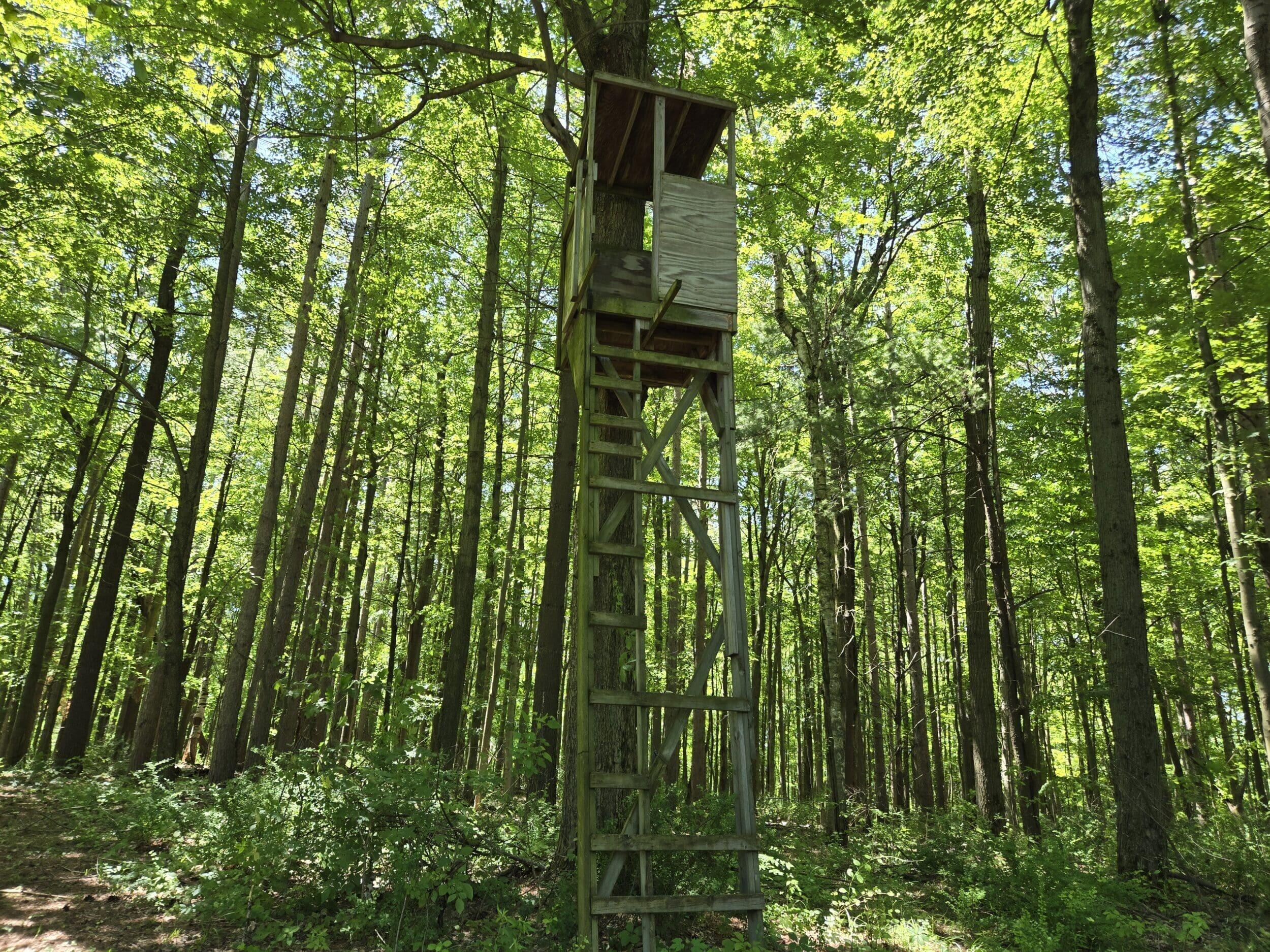 3371 Noble Road Oxford, MI 48370 - Photo 24 of 68 76