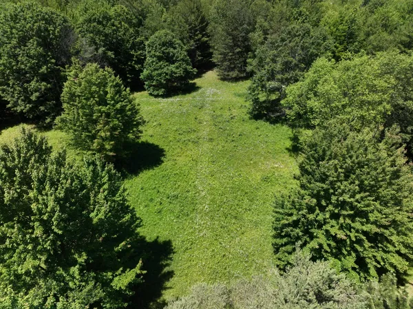 $3,499,999 | 3371 Noble Road, Oxford, MI 48370