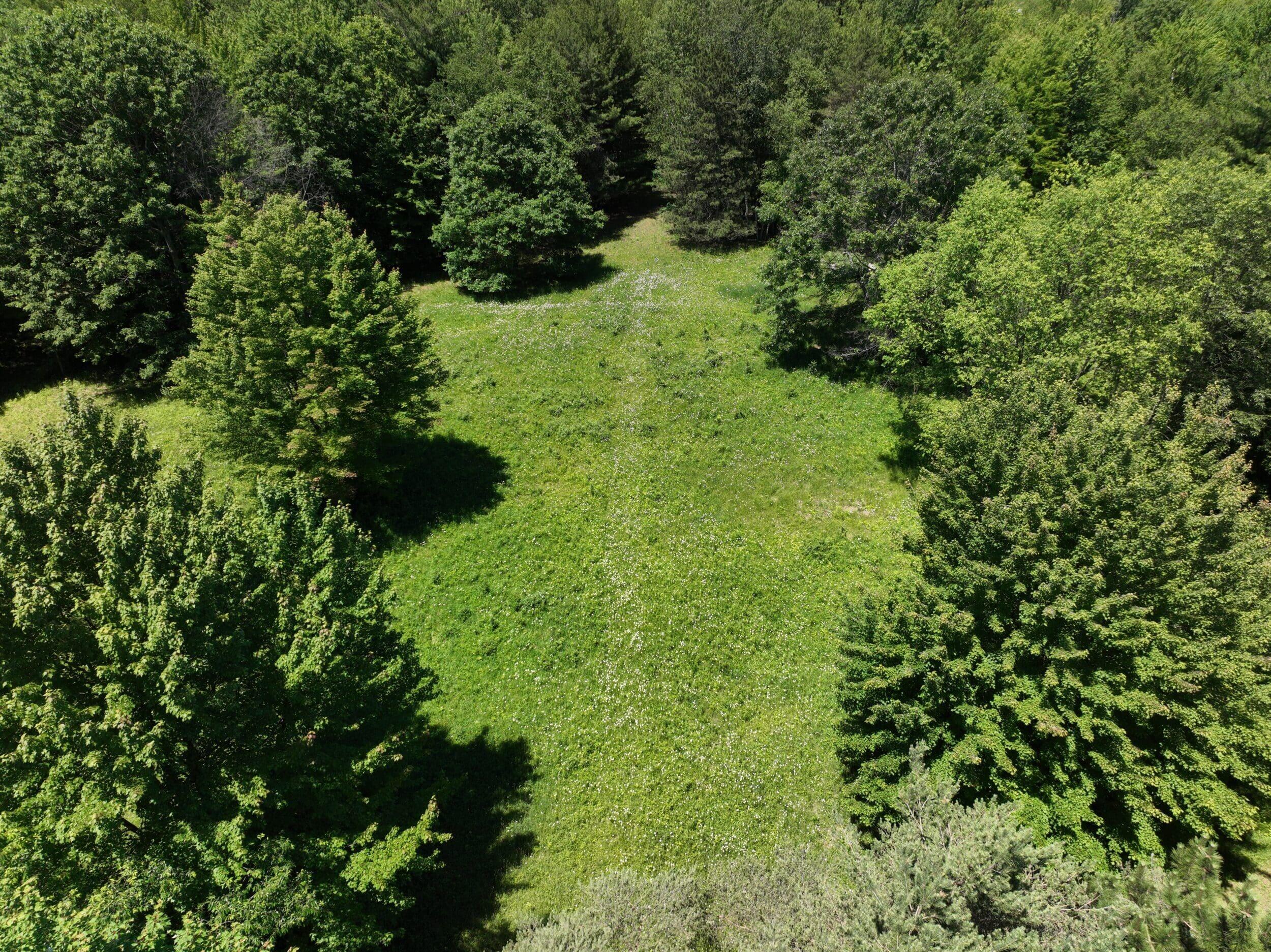 3371 Noble Road Oxford, MI 48370 - Photo 40 of 68 64