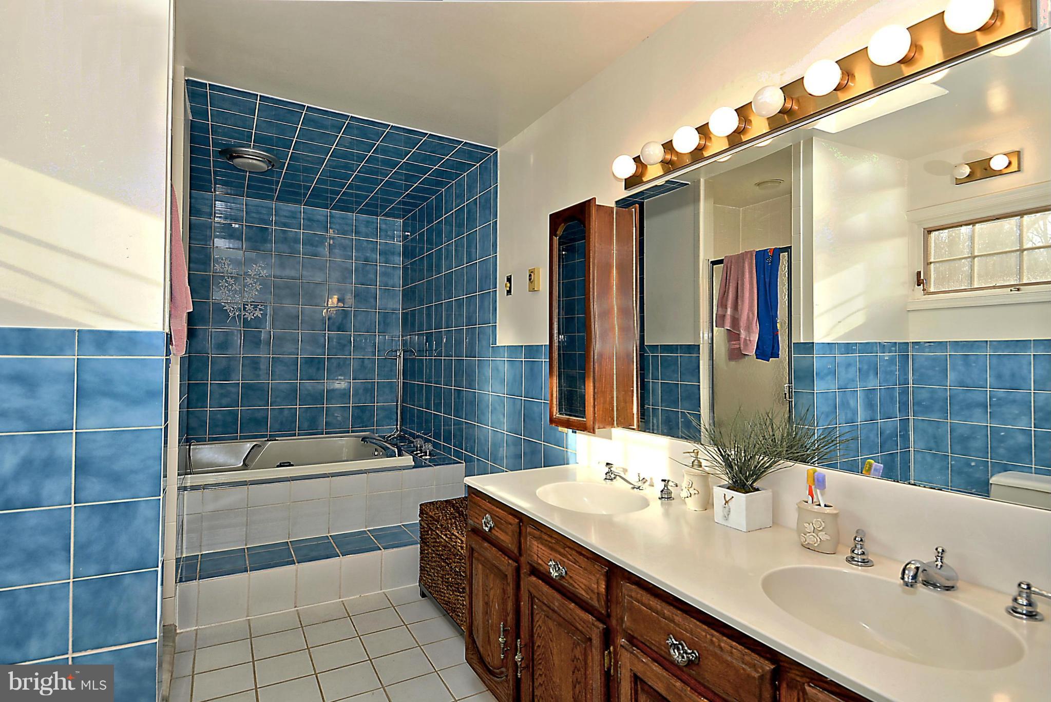 400 Ednor Road Ashton, MD 20861 - Photo 21 of 30 Bath (Master)