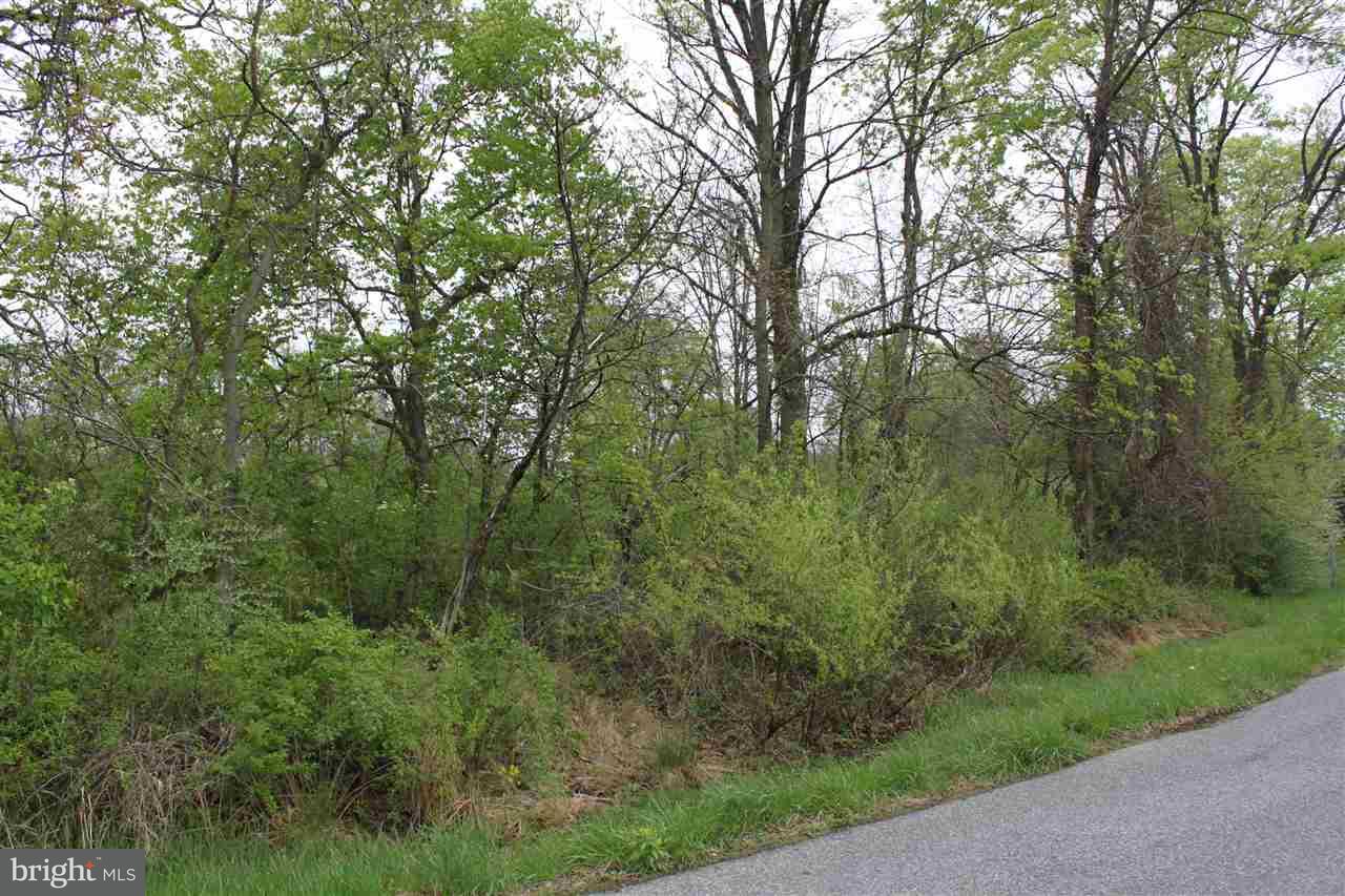 Lot 2 Alwine Road Middletown, PA 17057 - Photo 1 of 6 Gallery Image 1
