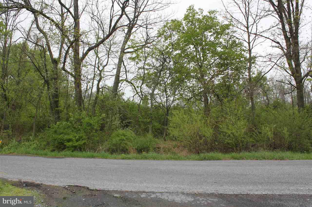 Lot 2 Alwine Road Middletown, PA 17057 - Photo 3 of 6 Gallery Image 3