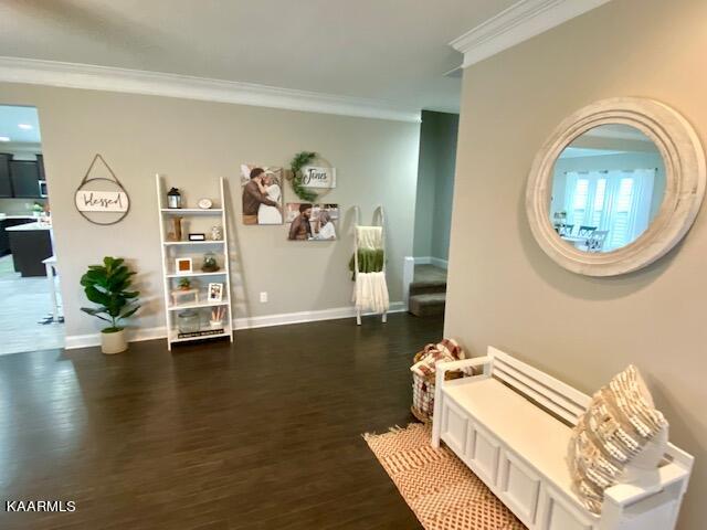 106 Hackberry Street Oak Ridge, TN 37830 - Photo 4 of 16 Foyer