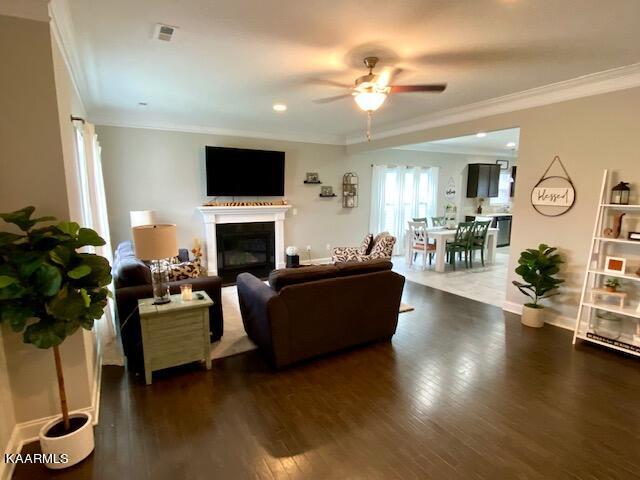 106 Hackberry Street Oak Ridge, TN 37830 - Photo 5 of 16 Great Room