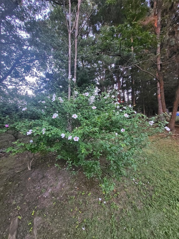 81 Morgan Road Binghamton, NY 13903 - Photo 9 of 18 Gallery Image 9