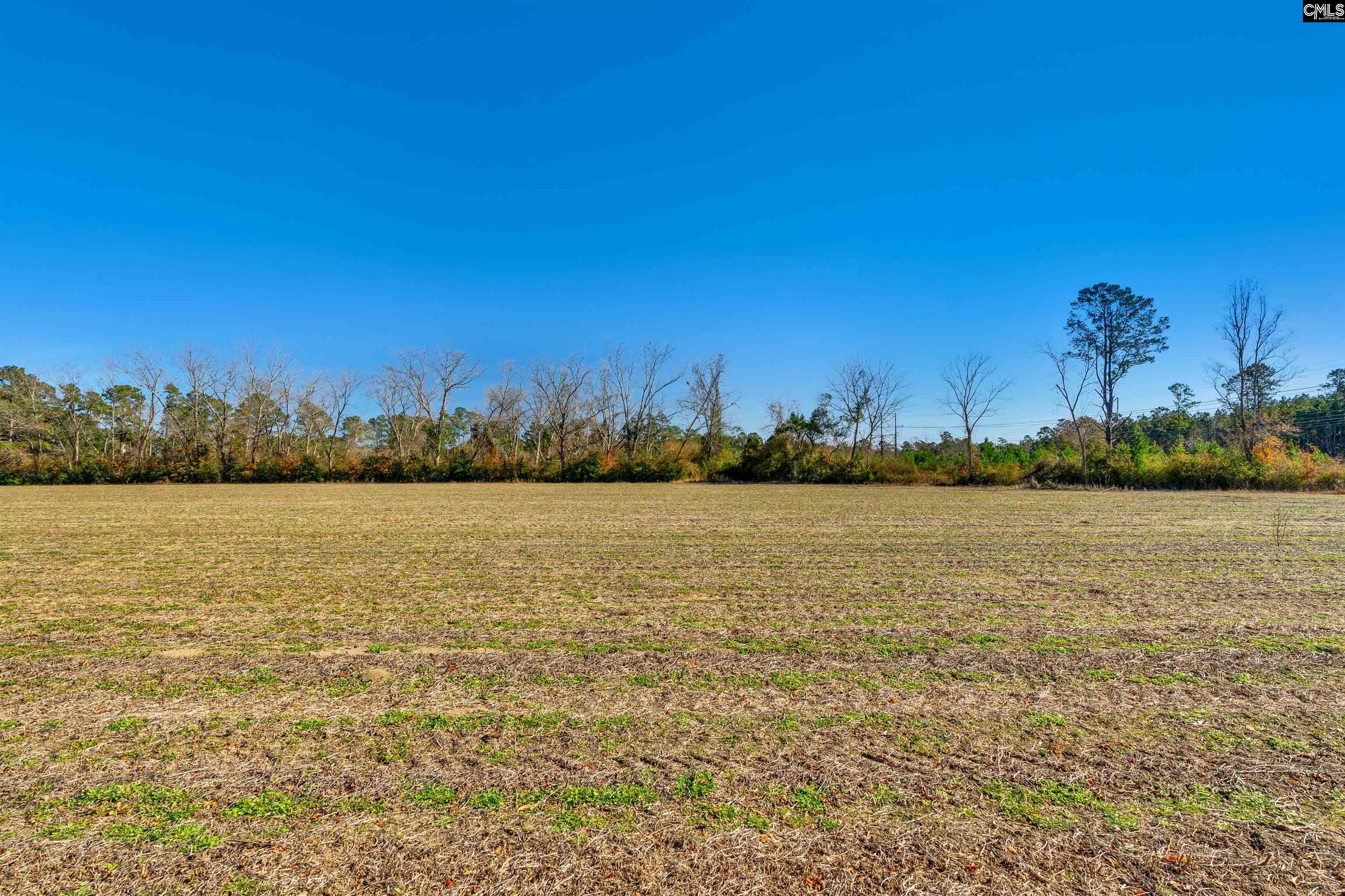 1745 Williams Hill Road Hemingway, SC 29554 - Photo 11 of 25