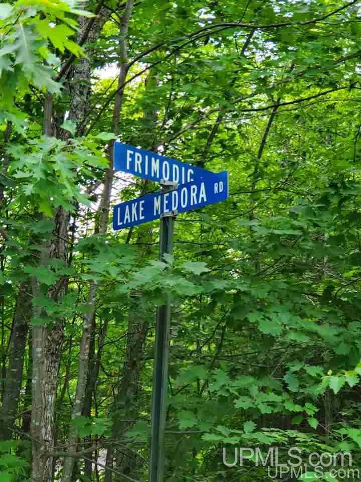 Tbd Frimodig Road Mohawk, MI 49950 - Photo 4 of 12