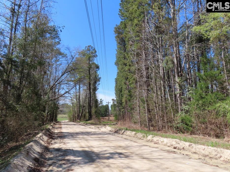 1672 Dixired Road Leesville, SC 29070 - Photo 5 of 67