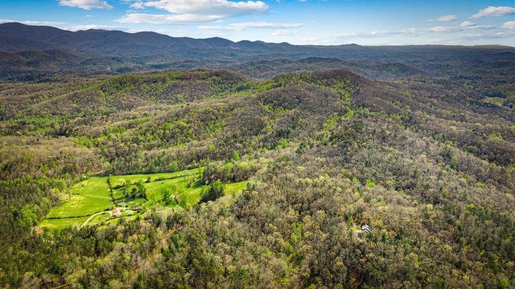 384 Maxwell Road Blue Ridge, GA 30513 - Photo 57 of 68 a view of a lush green field with lots of bushes