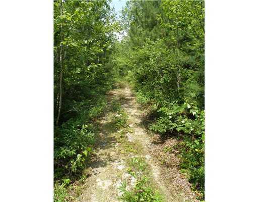 0 Southwest Brook Road Beddington, ME 04622 - Photo 5 of 16 Land/Lot. Part of the frontage on SW...