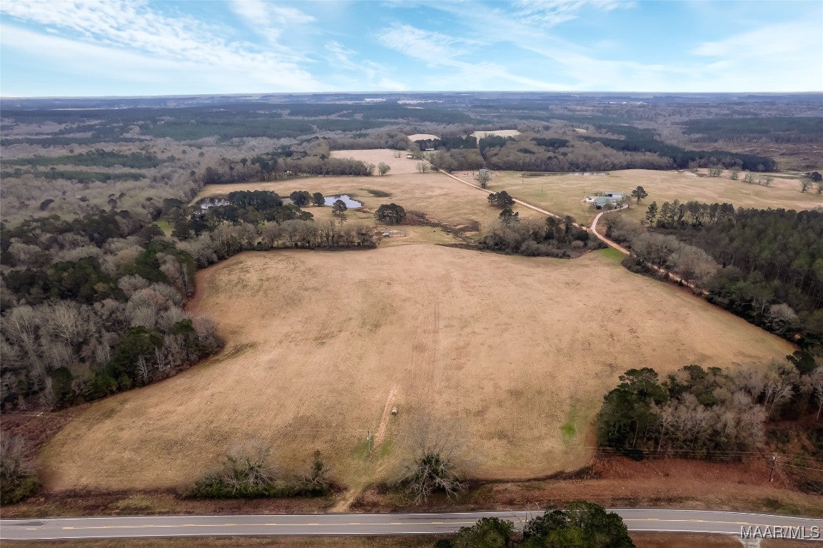 61 Doster Road Ariton, AL 36311 - Photo 2 of 13 Gallery Image 2
