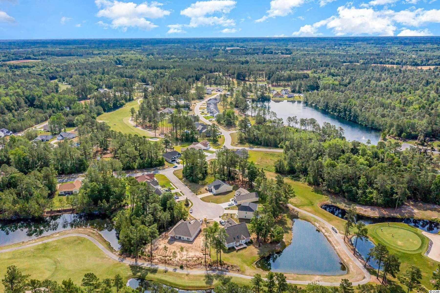 2017 Spring Valley Court Loris, SC 29569 - Photo 3 of 40 Gallery Image 3