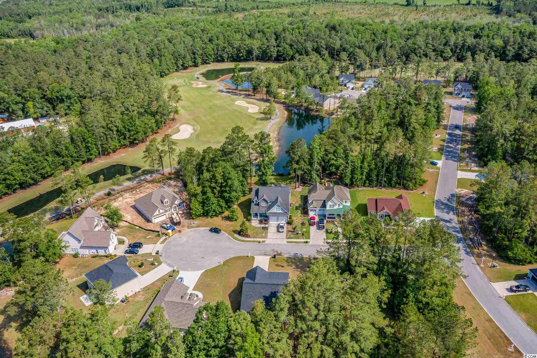 2017 Spring Valley Court Loris, SC 29569 - Photo 4 of 40 Gallery Image 4