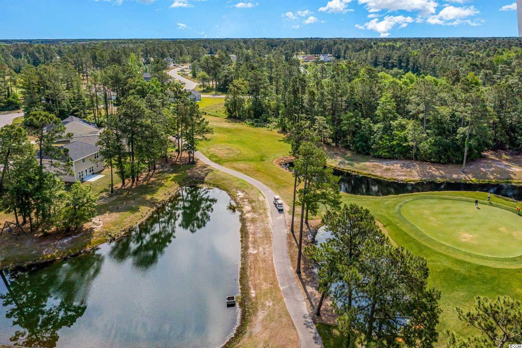 2017 Spring Valley Court Loris, SC 29569 - Photo 6 of 40 Gallery Image 6
