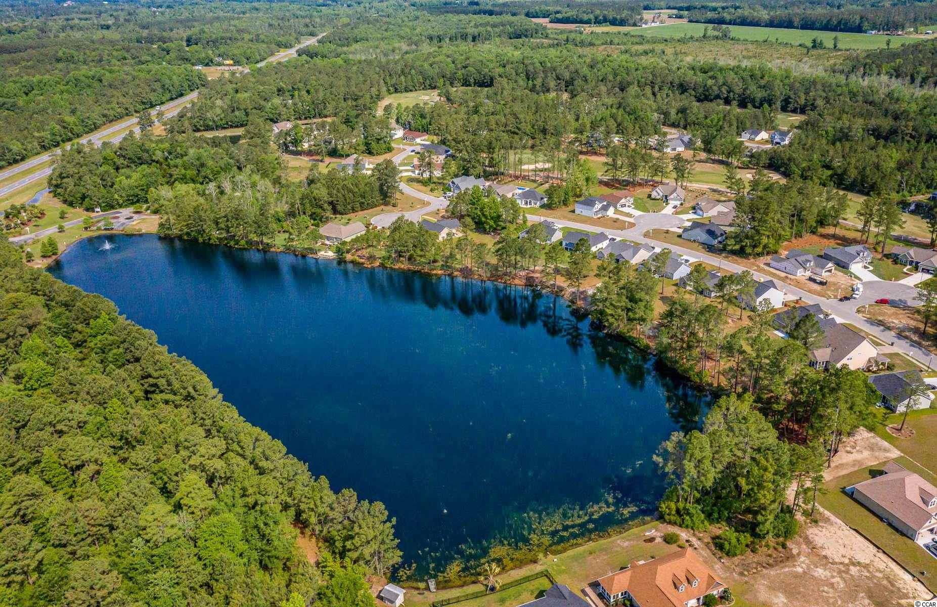 2017 Spring Valley Court Loris, SC 29569 - Photo 7 of 40 Gallery Image 7
