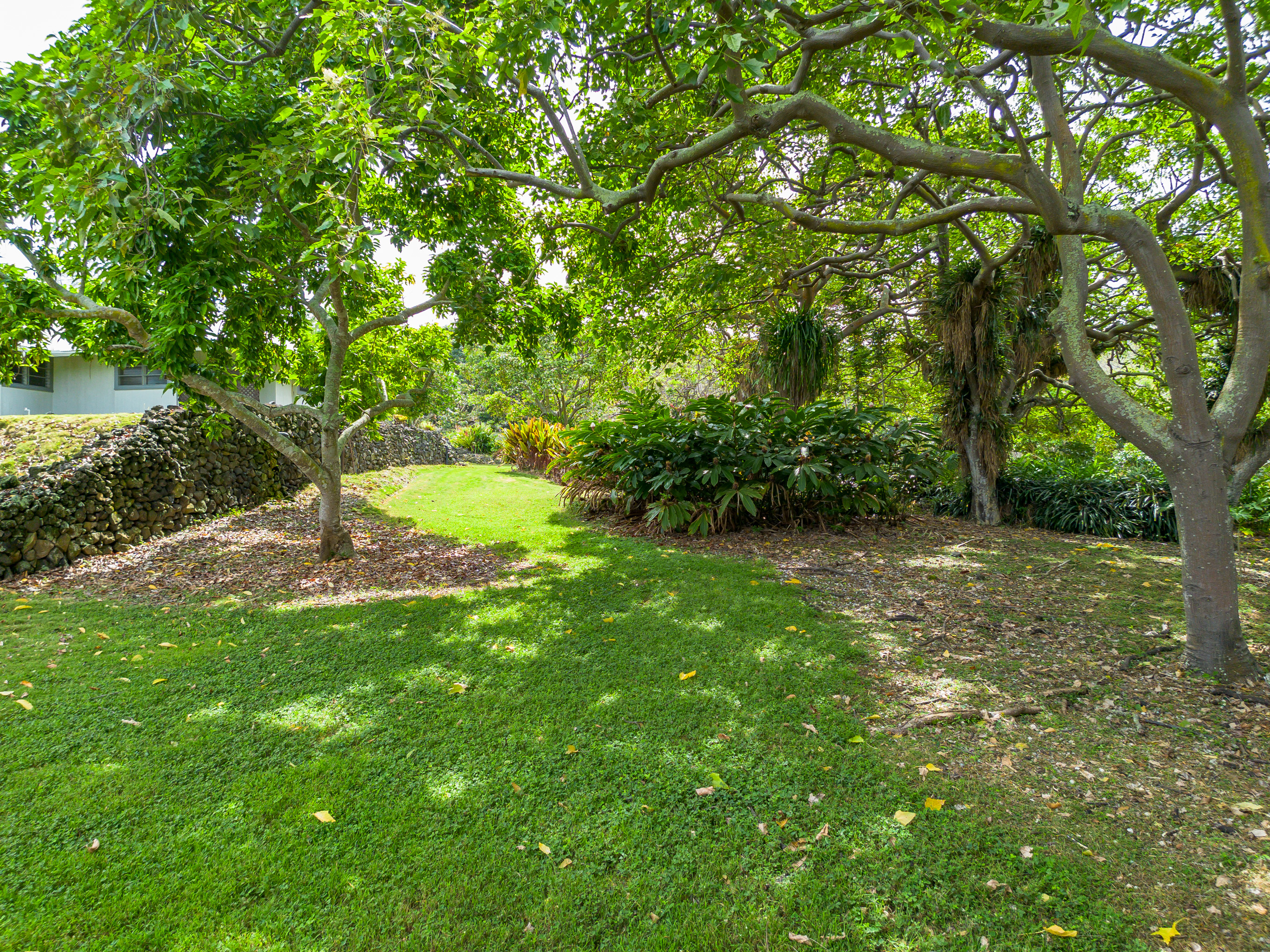 86-4190 Hookena Beach Road Captain Cook, HI 96704 - Photo 19 of 30 a view of outdoor space and yard
