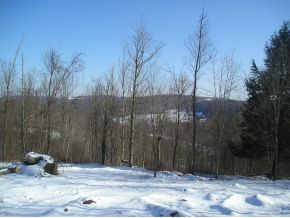 0 Farr Road Meshoppen, PA 18630 - Photo 3 of 4
