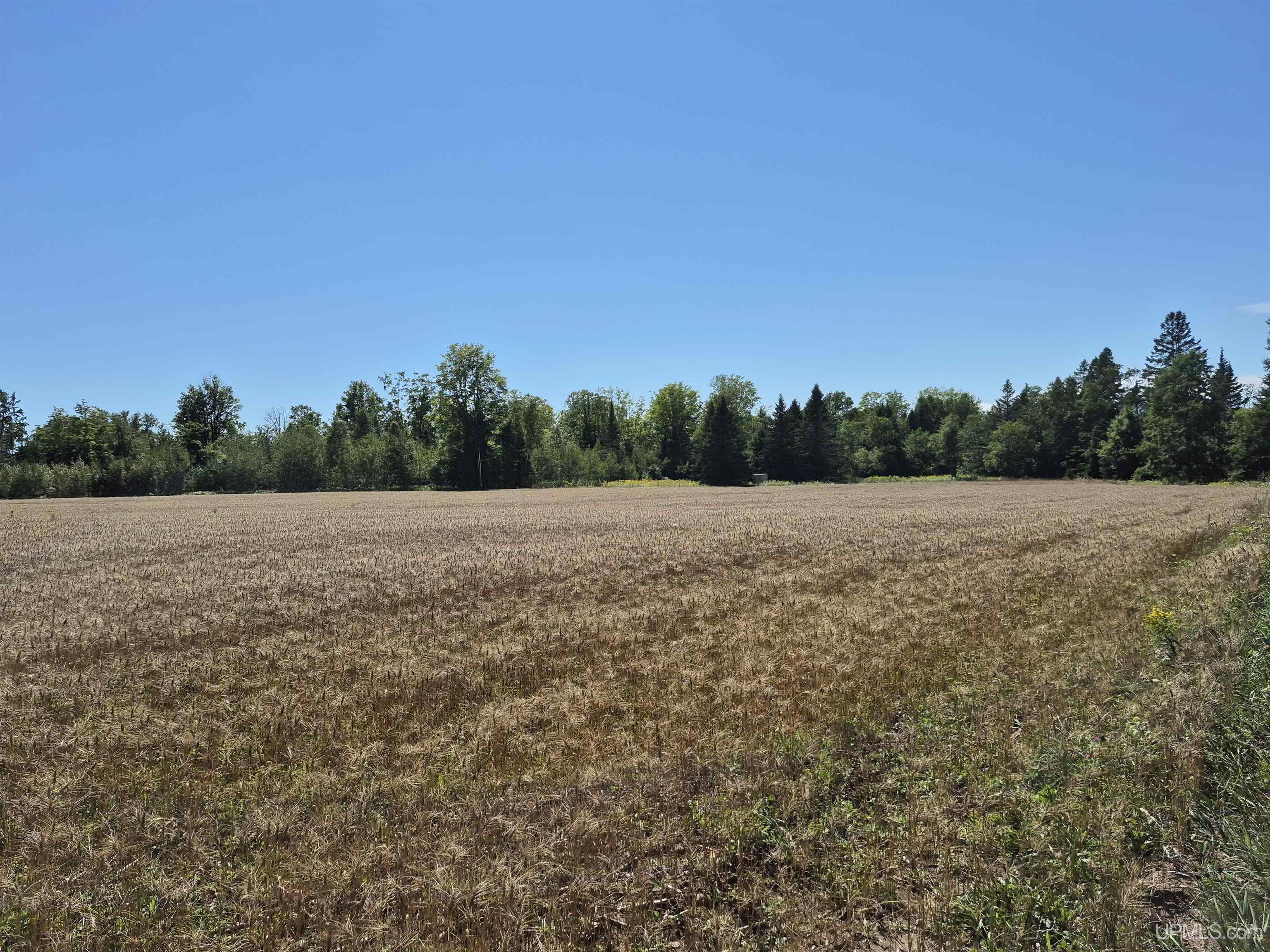 160-acres Halverson Road Gulliver, MI 49840 - Photo 29 of 35
