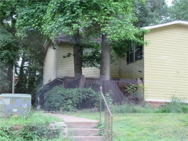 a view of a backyard with plants and large tree