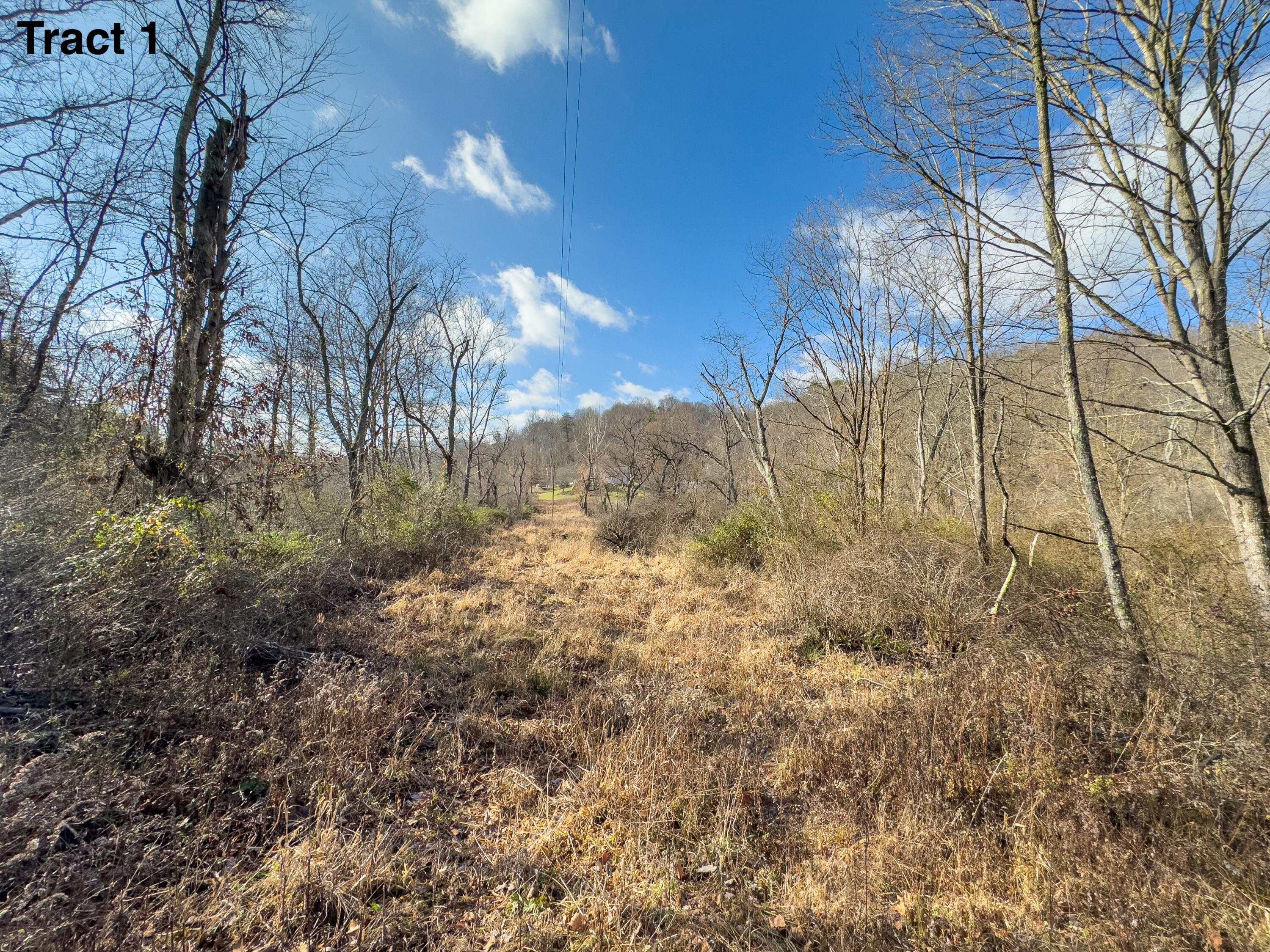 24453 Woltz Road Rockbridge, OH 43149 - Photo 13 of 28 tempImagevQRKUc